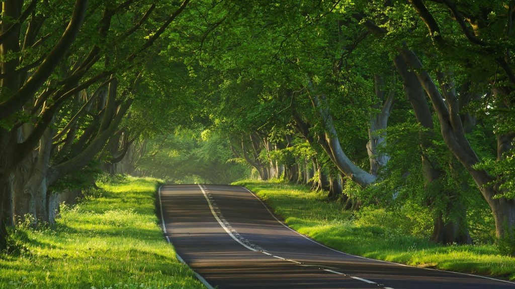 Натиснете снимката за да я уголемите

Име:6886966-forest-road-background.jpg
Прегледи:1
Размер:158.4 КБ
ID:5675387