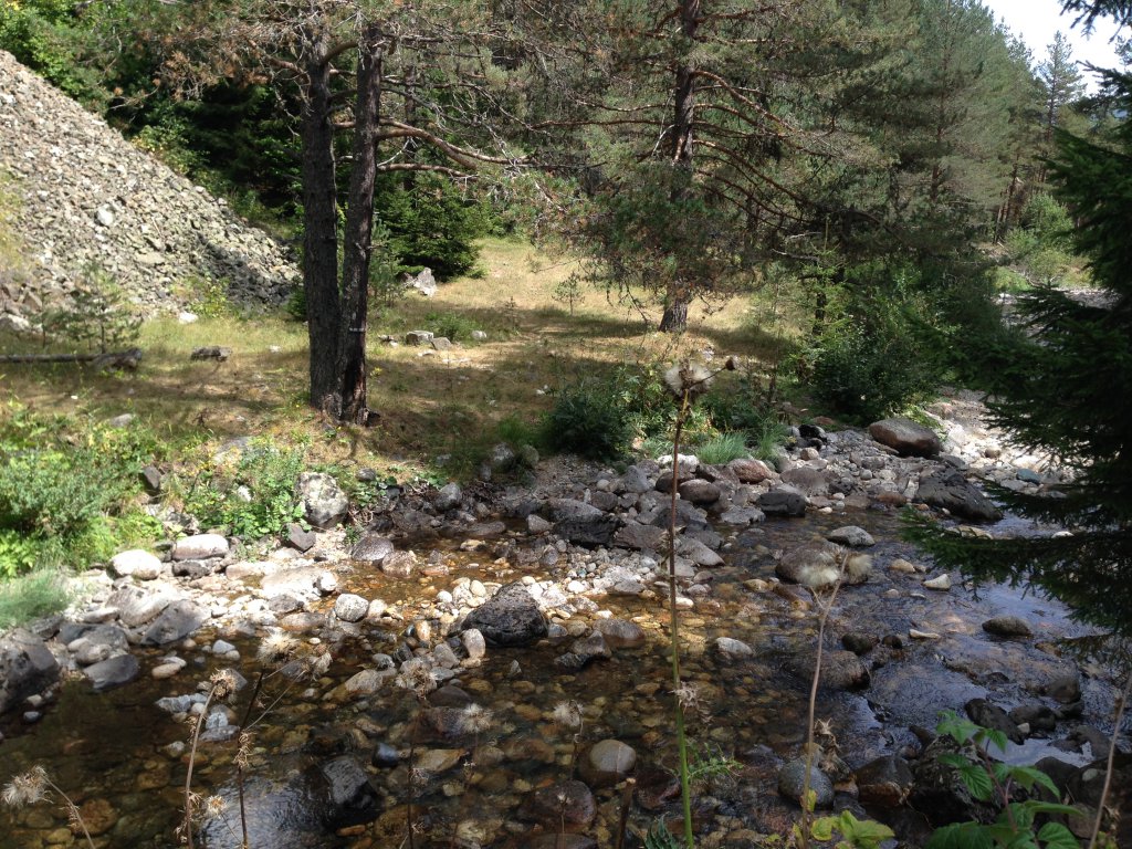 Натиснете снимката за да я уголемите

Име:IMG_3088.jpg
Прегледи:1
Размер:277.7 КБ
ID:5679797