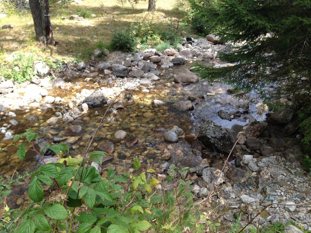 Натиснете снимката за да я уголемите

Име:IMG_3089.jpg
Прегледи:1
Размер:259.5 КБ
ID:5679798