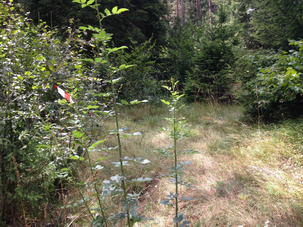 Натиснете снимката за да я уголемите

Име:IMG_3090.jpg
Прегледи:1
Размер:311.7 КБ
ID:5679799