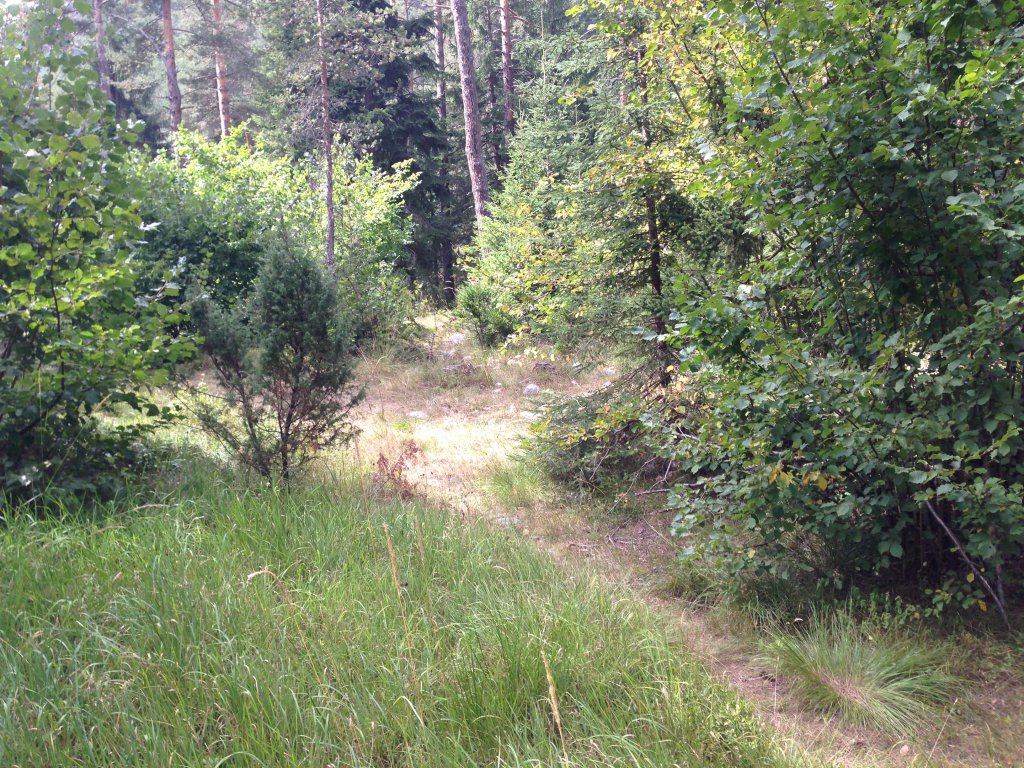 Натиснете снимката за да я уголемите

Име:IMG_3092.jpg
Прегледи:1
Размер:312.9 КБ
ID:5679800