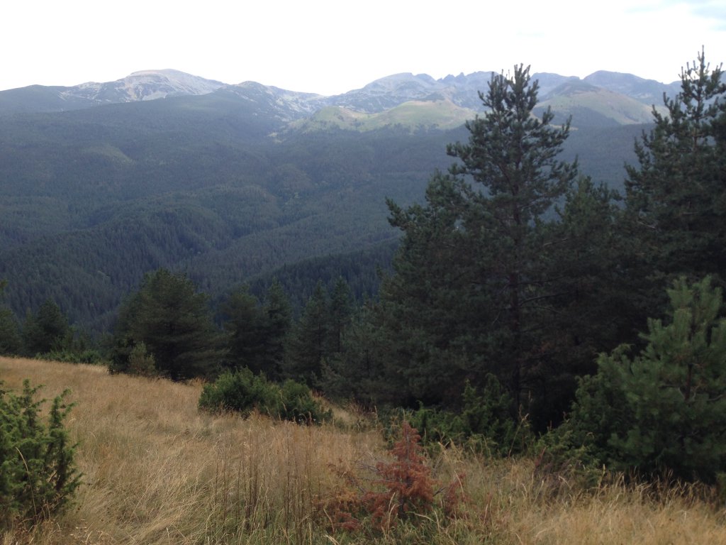 Натиснете снимката за да я уголемите

Име:IMG_3097.jpg
Прегледи:1
Размер:127.9 КБ
ID:5679802