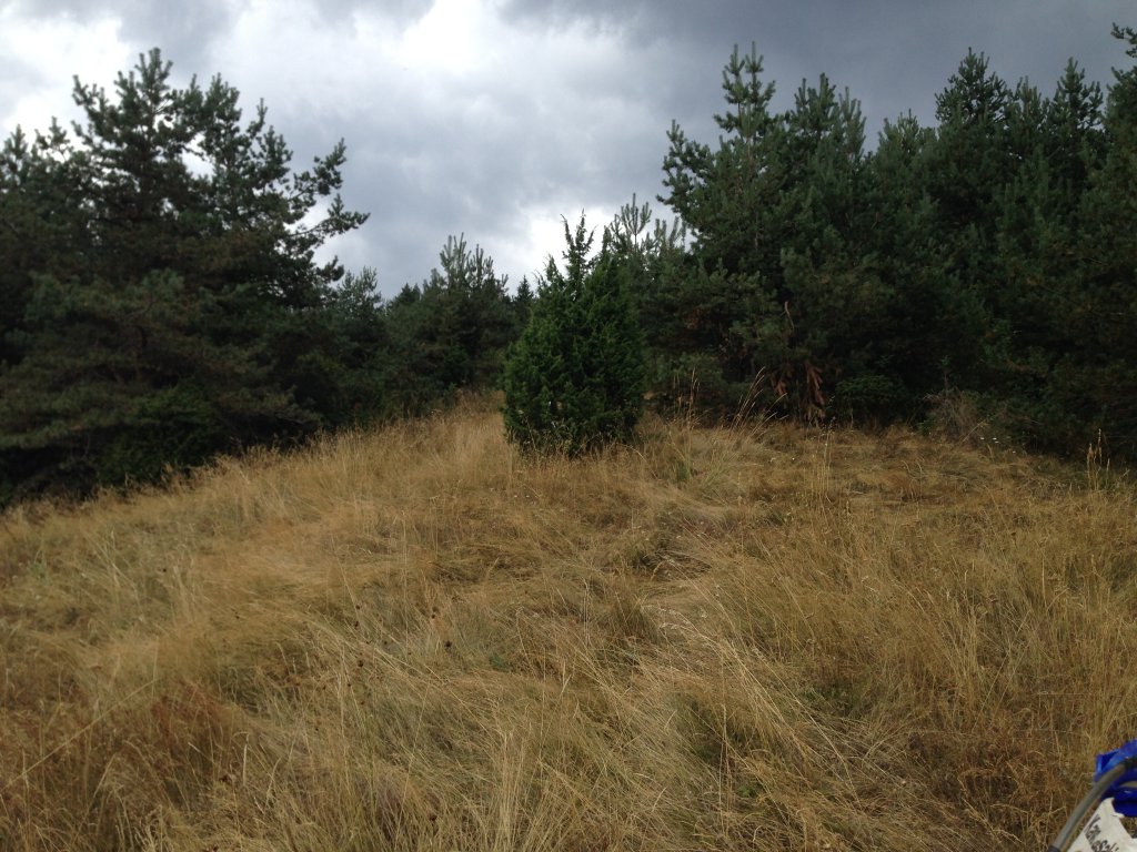 Натиснете снимката за да я уголемите

Име:IMG_3098.jpg
Прегледи:1
Размер:180.6 КБ
ID:5679803