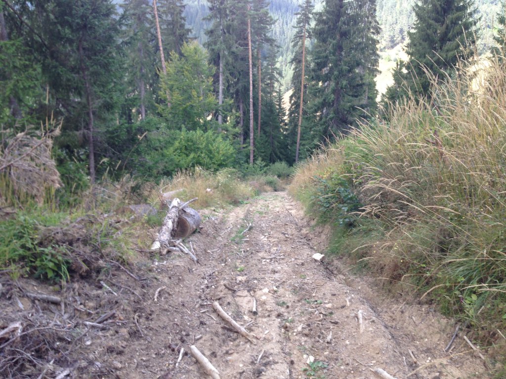Натиснете снимката за да я уголемите

Име:IMG_3101.jpg
Прегледи:1
Размер:231.6 КБ
ID:5679804