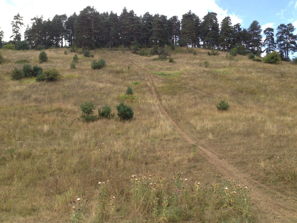 Натиснете снимката за да я уголемите

Име:IMG_3103.jpg
Прегледи:1
Размер:195.4 КБ
ID:5679805