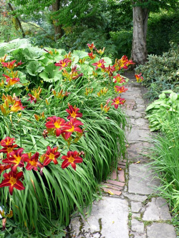 Натиснете снимката за да я уголемите

Име:700_daylilies-path.jpg
Прегледи:1
Размер:160.6 КБ
ID:5682380