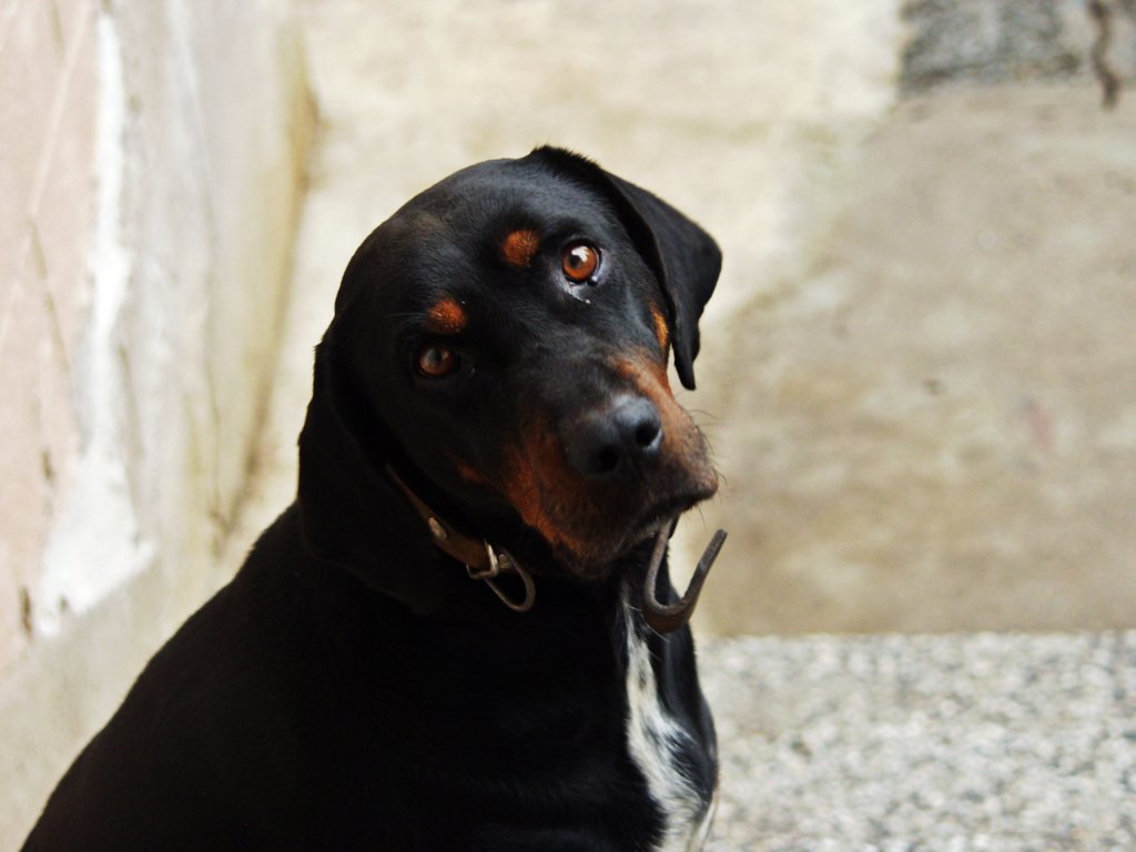 Натиснете снимката за да я уголемите

Име:PA160151.jpg
Прегледи:1
Размер:74.6 КБ
ID:5686895