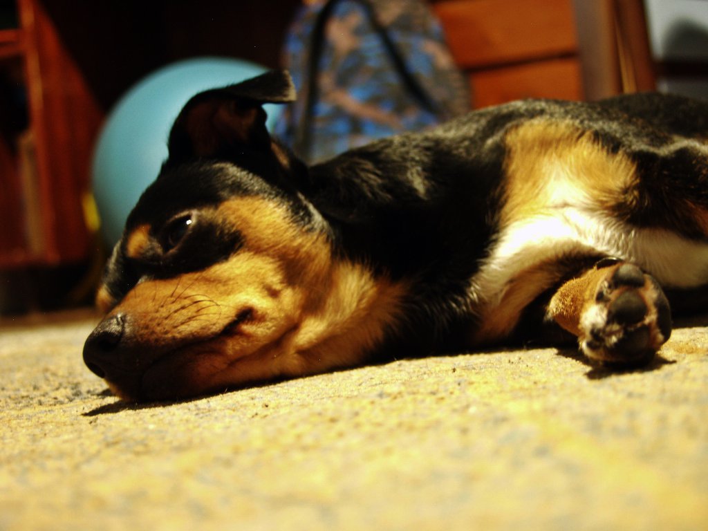 Натиснете снимката за да я уголемите

Име:PA160159.jpg
Прегледи:1
Размер:99.7 КБ
ID:5686896