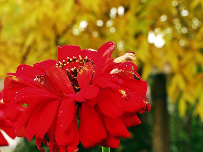 Натиснете снимката за да я уголемите

Име:PA180376.jpg
Прегледи:1
Размер:91.2 КБ
ID:5687140