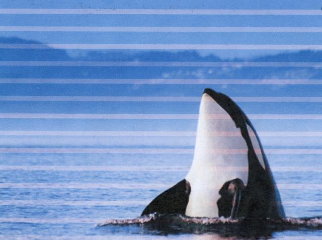 Натиснете снимката за да я уголемите

Име:5036_scan1.jpg
Прегледи:1
Размер:40.6 КБ
ID:5694912