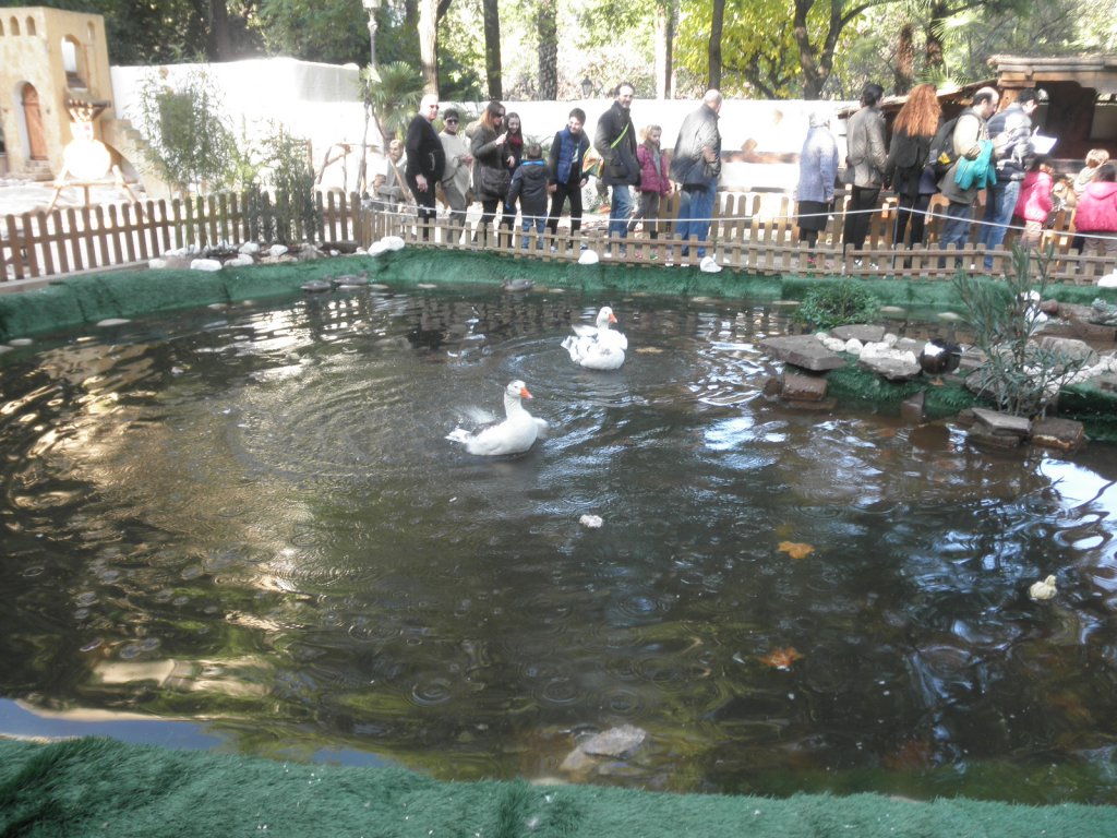Натиснете снимката за да я уголемите

Име:PC281117.jpg
Прегледи:1
Размер:199.4 КБ
ID:6106009