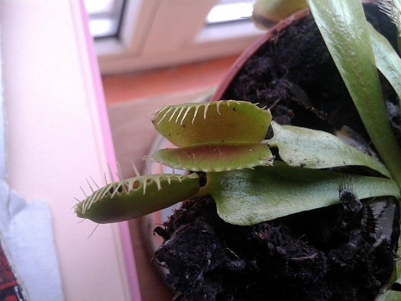 Натиснете снимката за да я уголемите

Име:14.JPG
Прегледи:1
Размер:251.0 КБ
ID:5733282