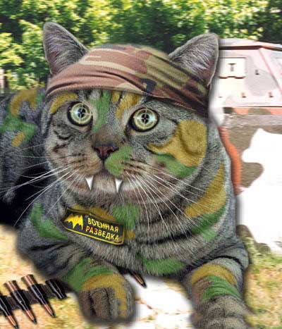 Натиснете снимката за да я уголемите

Име:2b915780888219ef3c40e14cf9becbb3.jpg
Прегледи:1
Размер:35.3 КБ
ID:5737026