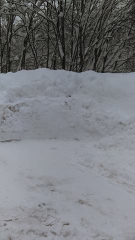 Натиснете снимката за да я уголемите

Име:15782168_1812527475664795_1939433143_n.jpg
Прегледи:1
Размер:19.8 КБ
ID:5739156