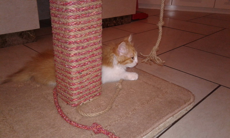 Натиснете снимката за да я уголемите

Име:20170817_214501_resize.jpg
Прегледи:1
Размер:106.0 КБ
ID:6137012