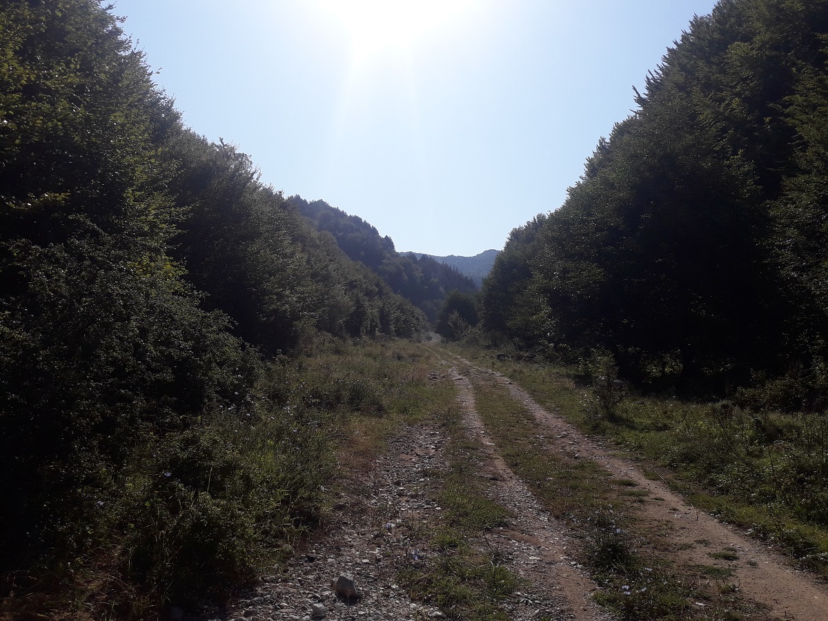 Натиснете снимката за да я уголемите

Име:20180816_095024.jpg
Прегледи:1
Размер:494.3 КБ
ID:6149367