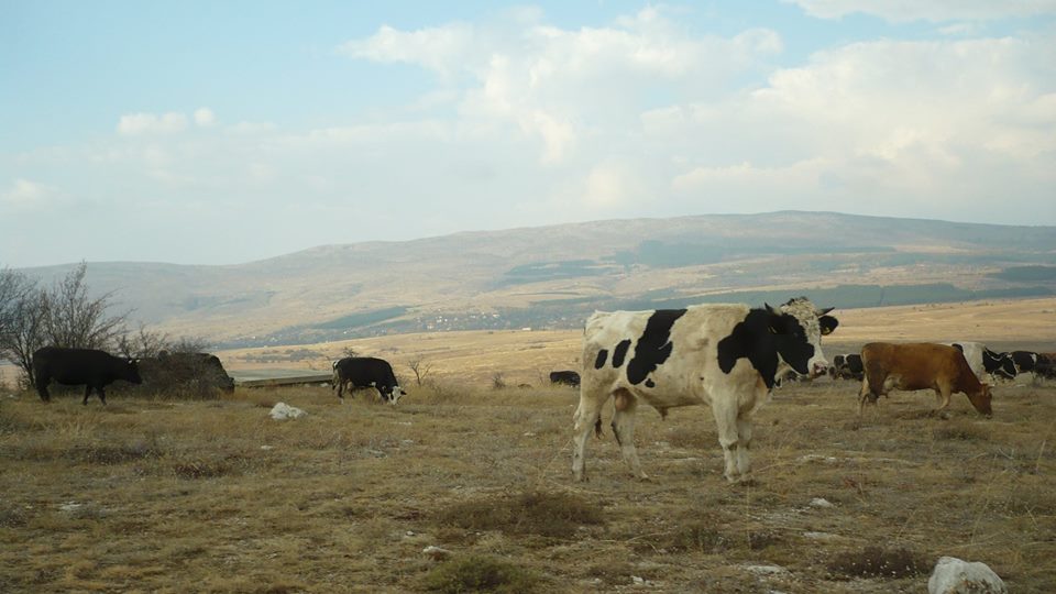 Натиснете снимката за да я уголемите

Име:44530545_1875179682595935_7412240862786093056_n.jpg
Прегледи:1
Размер:70.8 КБ
ID:5800905