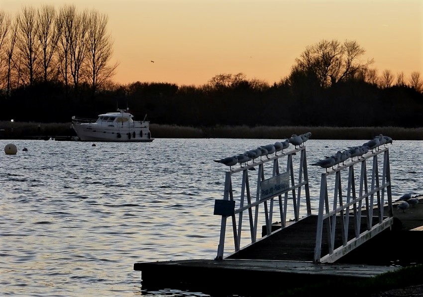 Натиснете снимката за да я уголемите

Име:1 (4).JPG
Прегледи:1
Размер:192.0 КБ
ID:5804585