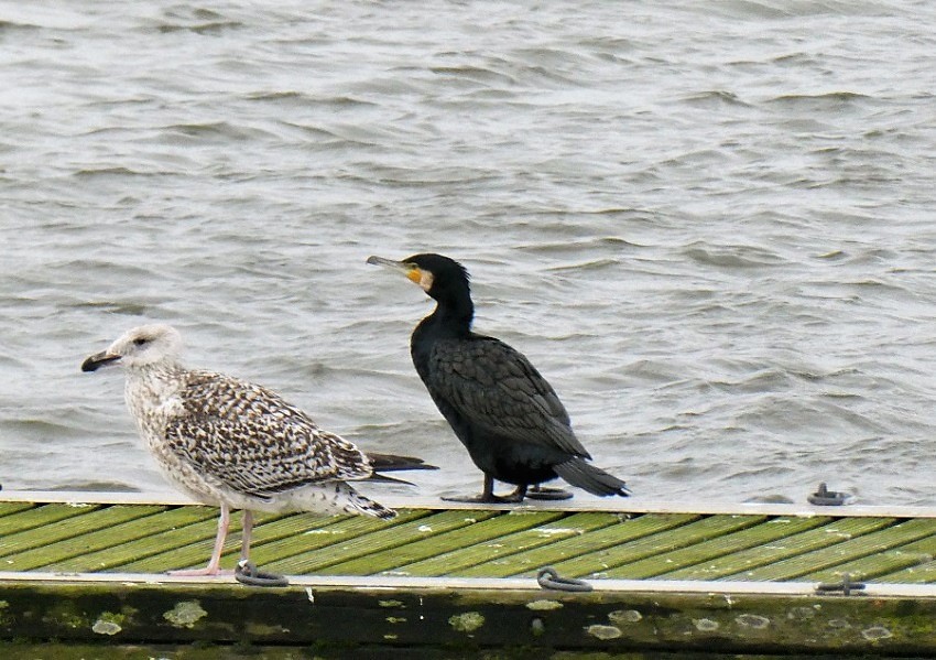 Натиснете снимката за да я уголемите

Име:2 (3).JPG
Прегледи:1
Размер:214.0 КБ
ID:5804903