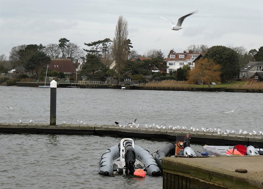 Натиснете снимката за да я уголемите

Име:2 (1).JPG
Прегледи:1
Размер:202.8 КБ
ID:5804904