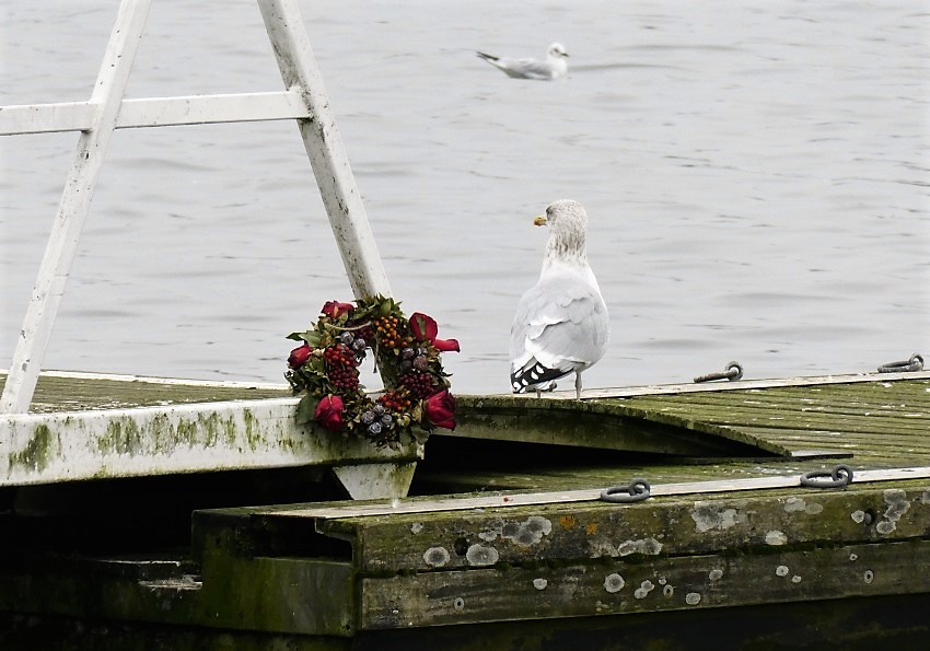 Натиснете снимката за да я уголемите

Име:1.JPG
Прегледи:1
Размер:173.7 КБ
ID:5806008