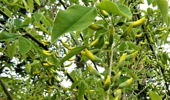 Натиснете снимката за да я уголемите

Име:123aa.JPG
Прегледи:1
Размер:106.7 КБ
ID:5813557