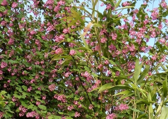 Натиснете снимката за да я уголемите

Име:123.JPG
Прегледи:1
Размер:143.5 КБ
ID:5813558