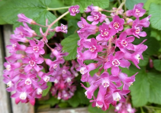 Натиснете снимката за да я уголемите

Име:123a.JPG
Прегледи:1
Размер:82.6 КБ
ID:5813559