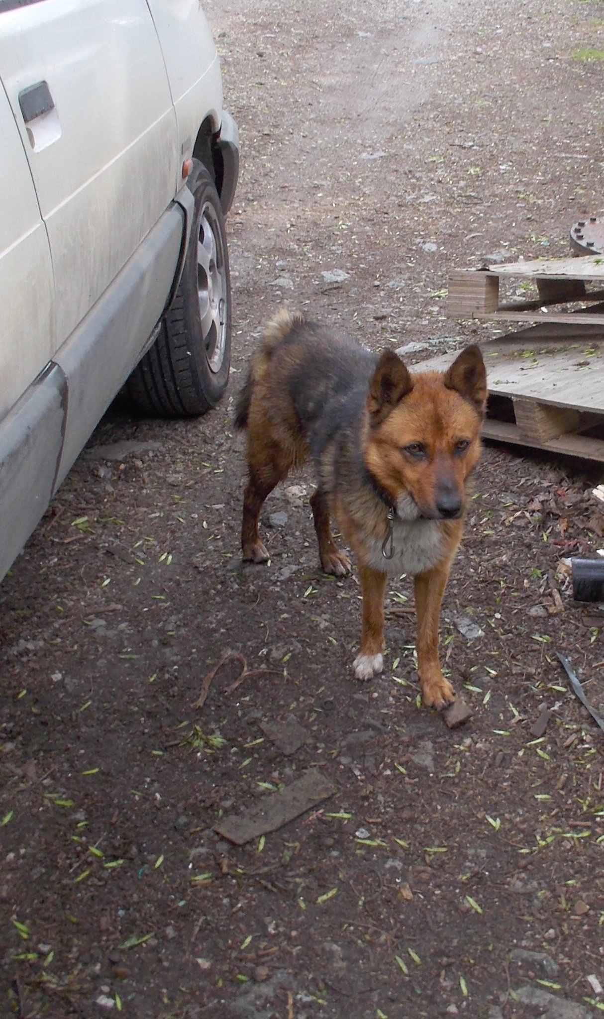 Натиснете снимката за да я уголемите

Име:DSCN1461.jpg
Прегледи:1
Размер:462.5 КБ
ID:5814139