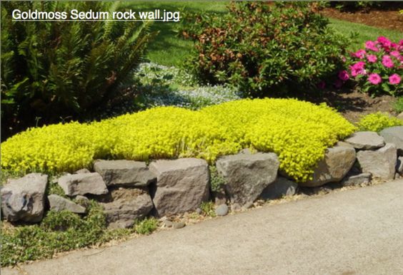 Натиснете снимката за да я уголемите

Име:dc596c0f4f9f4fb5d7496819b8b9b30a.jpg
Прегледи:1
Размер:54.9 КБ
ID:5818389