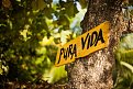 Натиснете снимката за да я уголемите

Име:pura_vida.jpg
Прегледи:2
Размер:117.9 КБ
ID:6520286