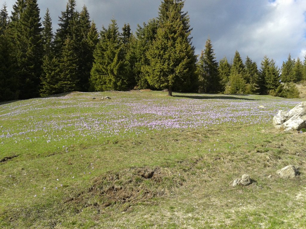Натиснете снимката за да я уголемите

Име:20130414_171918.jpg
Прегледи:2
Размер:275.8 КБ
ID:6519173