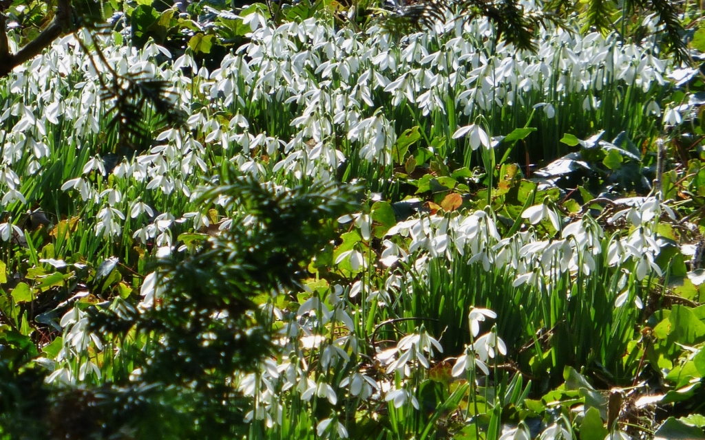 Натиснете снимката за да я уголемите

Име:1.jpg
Прегледи:1
Размер:622.0 КБ
ID:5564224