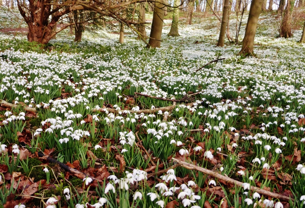 Натиснете снимката за да я уголемите

Име:2.jpg
Прегледи:1
Размер:741.2 КБ
ID:5564225