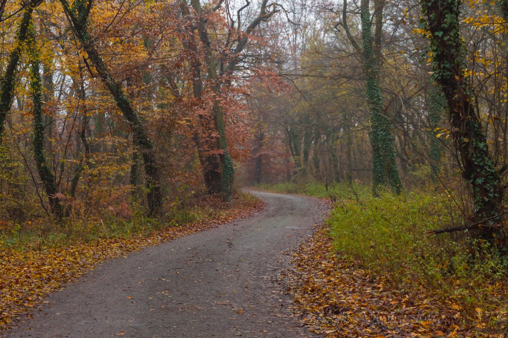 Натиснете снимката за да я уголемите

Име:_MG_8885.jpg
Прегледи:1
Размер:225.4 КБ
ID:5623604