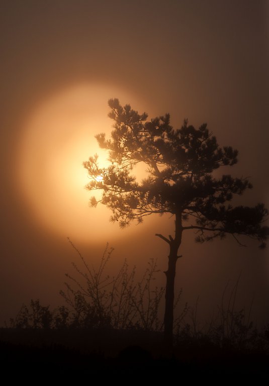 Натиснете снимката за да я уголемите

Име:_DSC1154_1.jpg
Прегледи:1
Размер:37.1 КБ
ID:5656656