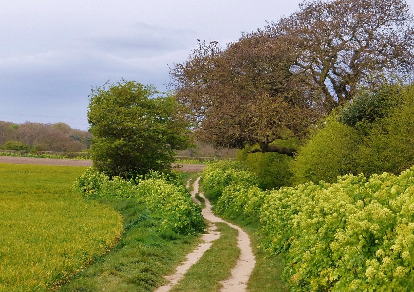 Натиснете снимката за да я уголемите

Име:2 (1).jpg
Прегледи:2
Размер:482.9 КБ
ID:5755445