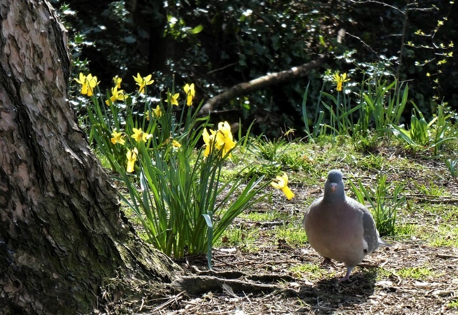 Натиснете снимката за да я уголемите

Име:10a.jpg
Прегледи:1
Размер:340.5 КБ
ID:5812024