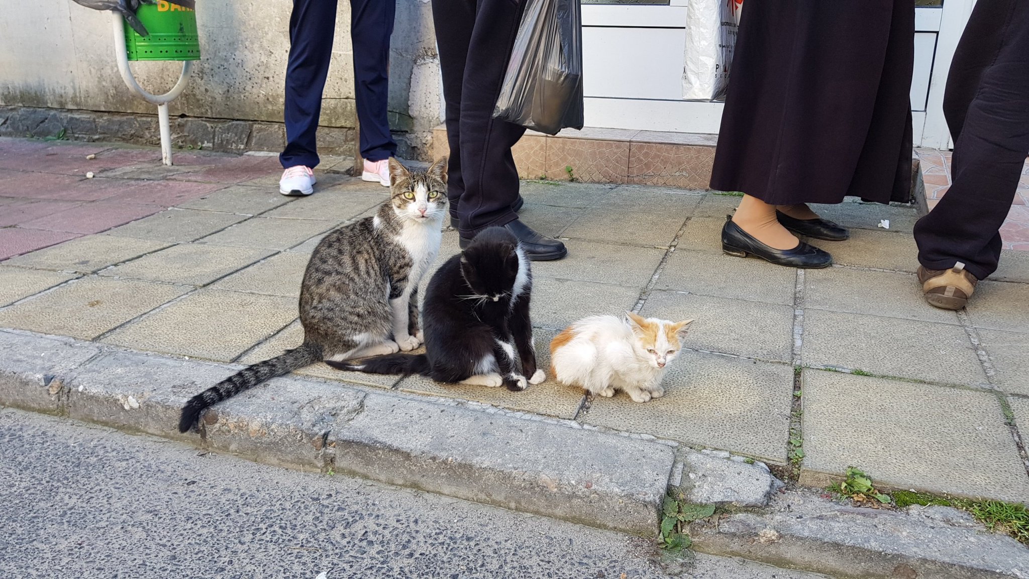 Натиснете снимката за да я уголемите  Име:20191020_120345.jpg Прегледи:0 Размер:631.8 КБ ID:6524189