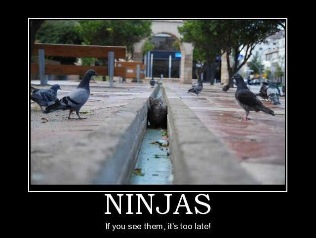 Натиснете снимката за да я уголемите

Име:ninjas.jpg
Прегледи:1
Размер:29.3 КБ
ID:5804376