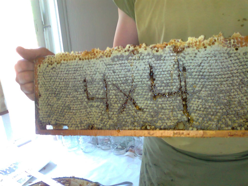 Натиснете снимката за да я уголемите

Име:Снимка0157.jpg
Прегледи:4
Размер:124.3 КБ
ID:5393127