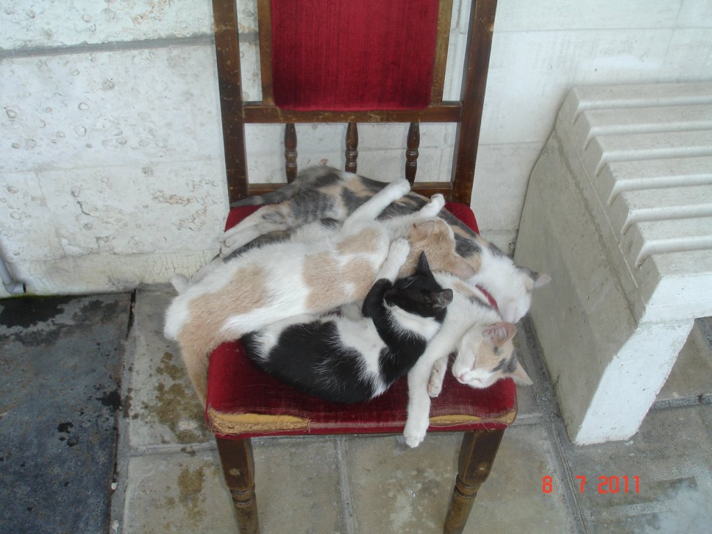 Натиснете снимката за да я уголемите

Име:DSC00015.jpg
Прегледи:2
Размер:126.5 КБ
ID:5290544