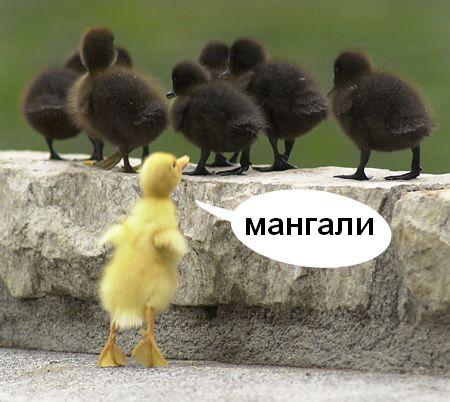 Натиснете снимката за да я уголемите

Име:mangali.jpg
Прегледи:2
Размер:34.3 КБ
ID:5292139
