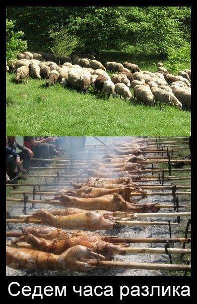 Натиснете снимката за да я уголемите

Име:551163_301322289957168_112369865519079_666410_2043898739_n.jpg
Прегледи:1
Размер:69.6 КБ
ID:5379968