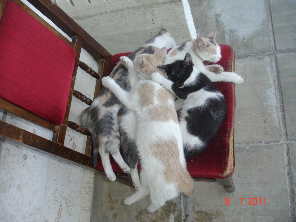 Натиснете снимката за да я уголемите

Име:DSC00016.jpg
Прегледи:1
Размер:135.3 КБ
ID:5290545