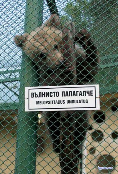 Натиснете снимката за да я уголемите

Име:0016.jpg
Прегледи:1
Размер:99.5 КБ
ID:5423562