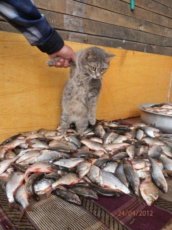 Натиснете снимката за да я уголемите

Име:551659_313161388772305_143099767_n.jpg
Прегледи:1
Размер:130.6 КБ
ID:5428040