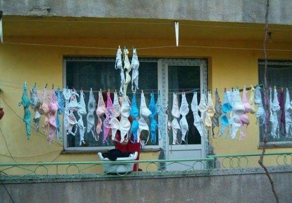 Натиснете снимката за да я уголемите

Име:387134_510022062347989_198316309_n.jpg
Прегледи:1
Размер:45.3 КБ
ID:5401141