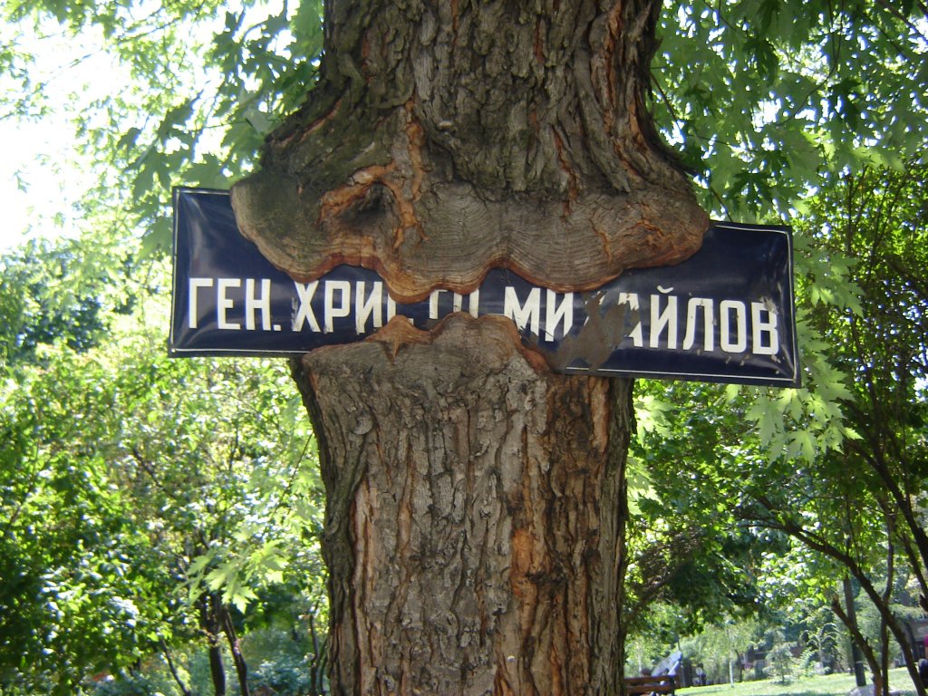Натиснете снимката за да я уголемите

Име:DSC00116.jpg
Прегледи:1
Размер:252.8 КБ
ID:5298257
