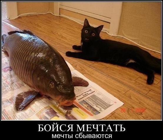 Натиснете снимката за да я уголемите

Име:dream.jpg
Прегледи:1
Размер:54.9 КБ
ID:5386720